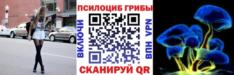 Псилоцибиновые грибы Psilocybine cubensis  Цоци-Юрт 